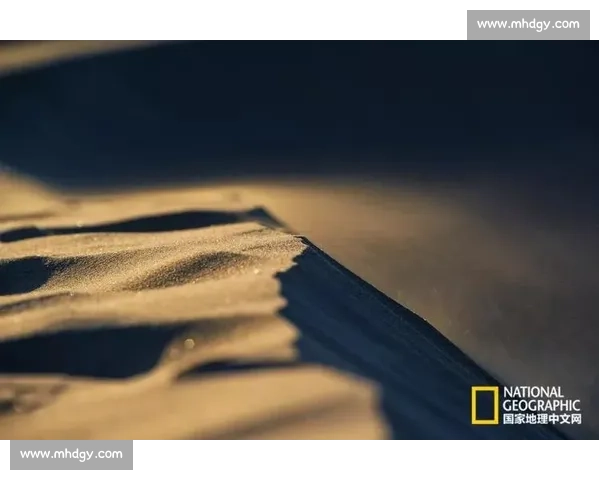 在紧张与坚持中成长的一场难忘比赛经历与心灵洗礼带给我的启示与感悟 在紧张与坚持中成长的一场难忘比赛经历与心灵洗礼带给我的启示与感悟