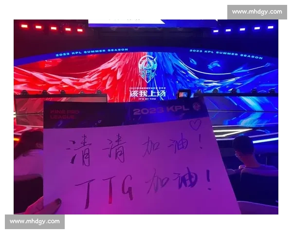 围绕KPL比赛门票打造观赛热潮与电竞文化新体验指南全攻略分享