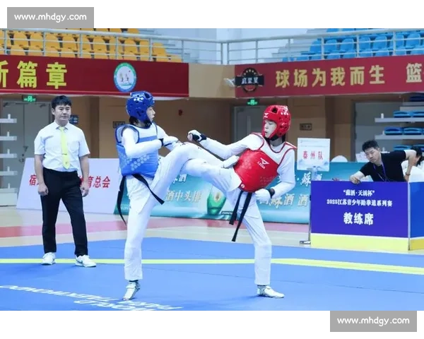 热血少年跆拳道赛场实录青春对决力量与礼仪并行成长之路全景呈现