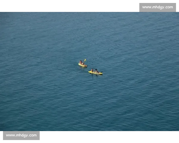 梦见划船比赛映照内心竞争合作与人生节奏的象征解析心理启示与成长方向思考